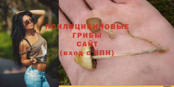 a pvp Аркадак