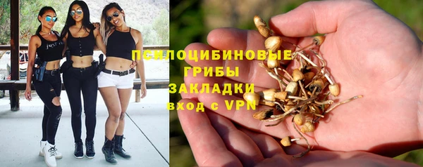 соль курить ск Арсеньев