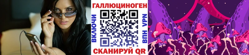 закладки  Малая Вишера  Псилоцибиновые грибы GOLDEN TEACHER 